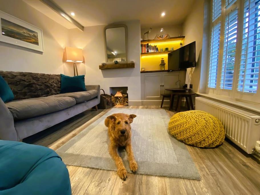 Beautiful Immaculate Aldeburgh Cottage, Sunny Outdoor Space, Free Parking - Easy Walk To Beach & Town Kültér fotó